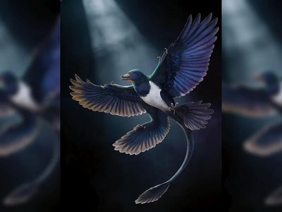 Article featured image