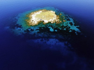 Article featured image