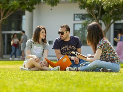 Article featured image