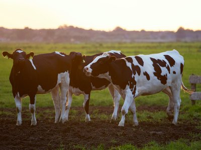 Article featured image