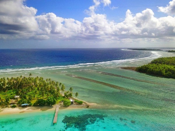 Article featured image