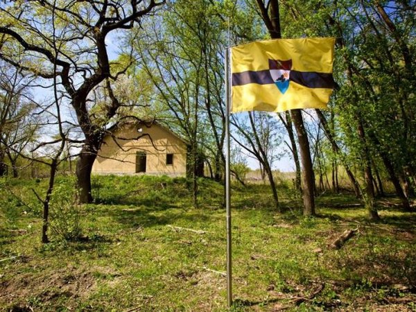 Article featured image