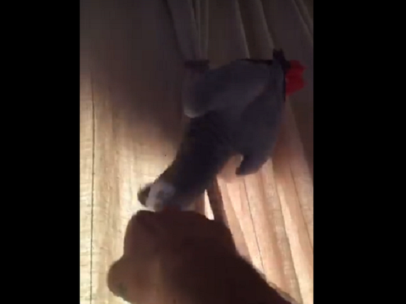 Article featured image