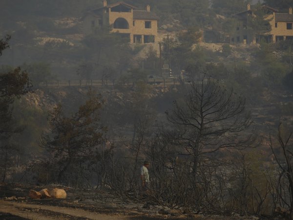 Article featured image