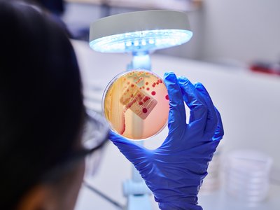 Article featured image