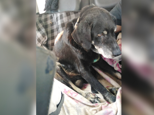 Article featured image