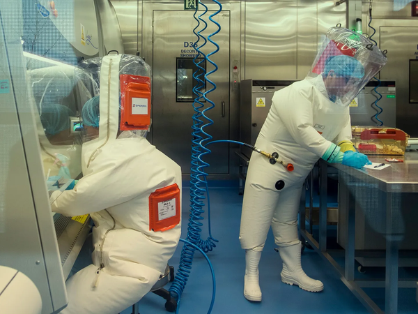 Article featured image