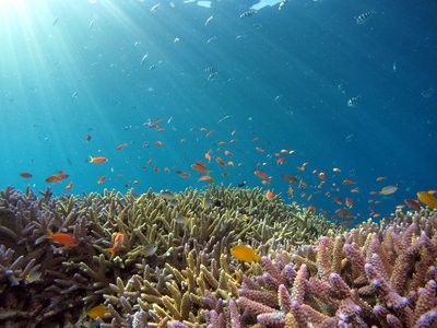 Article featured image