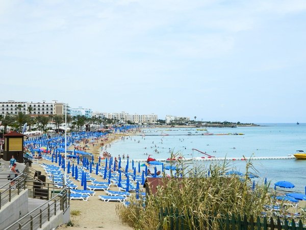 Article featured image