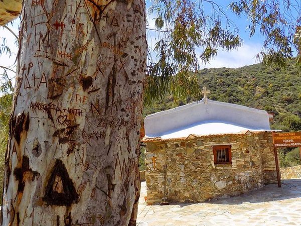 Article featured image