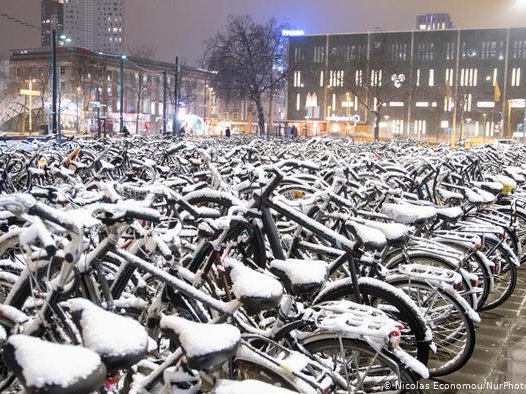 Article featured image