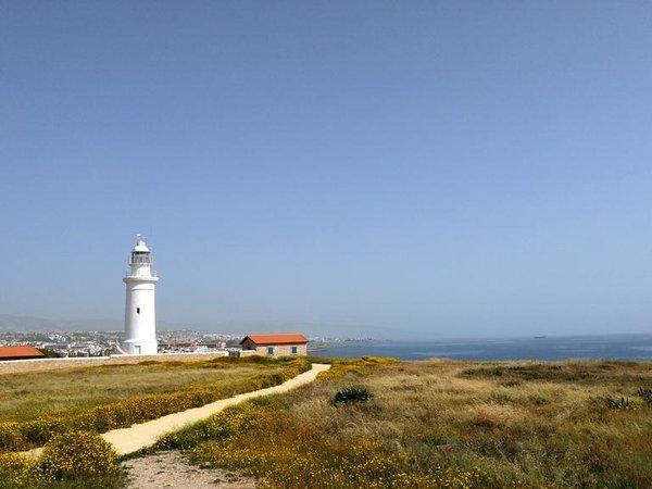 Article featured image