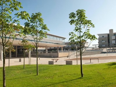 Article featured image