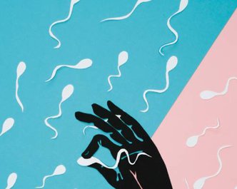 Article featured image