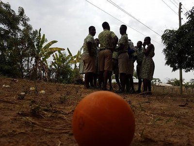 Article featured image