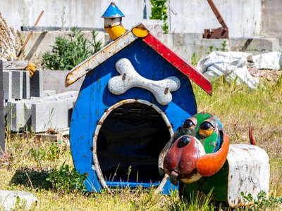 Article featured image