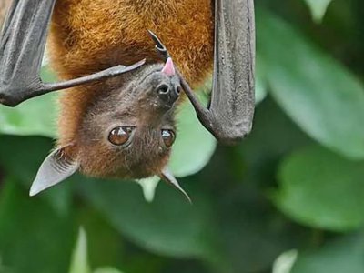 Article featured image