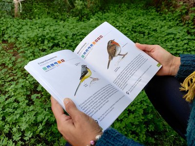 Article featured image