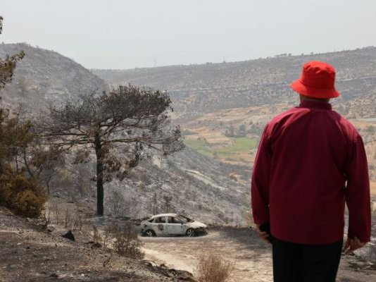 Article featured image