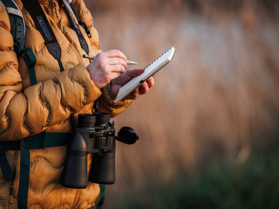 Article featured image