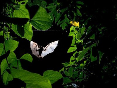 Article featured image