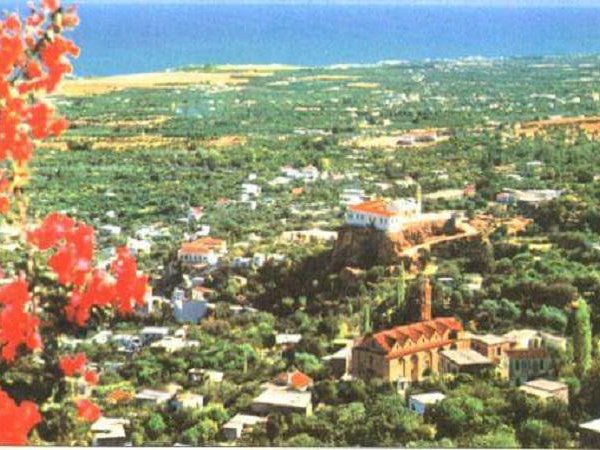 Article featured image