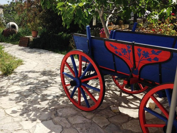 Article featured image