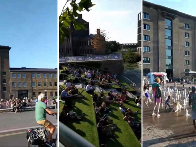 Article featured image