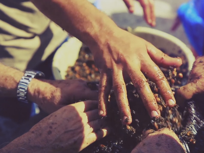 Article featured image