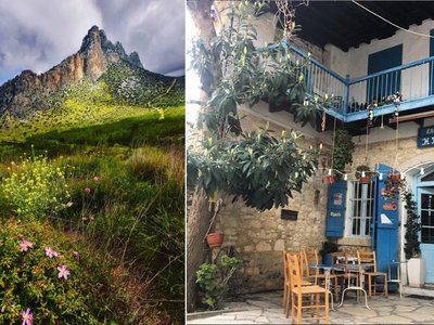 Article featured image