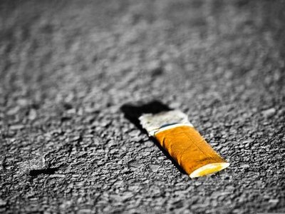 Article featured image