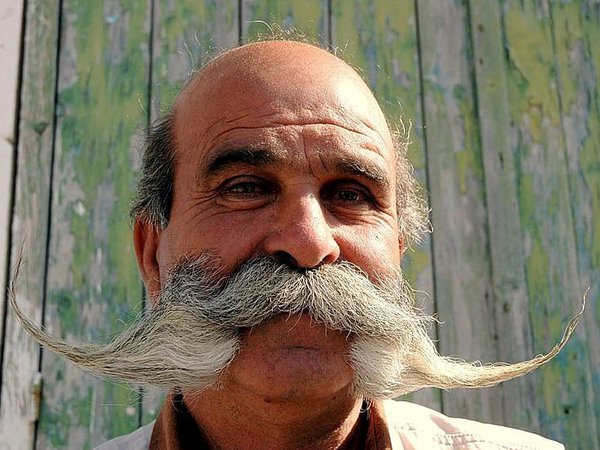 Article featured image