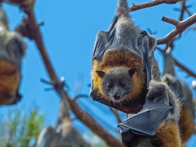 Article featured image