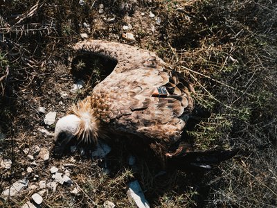 Article featured image