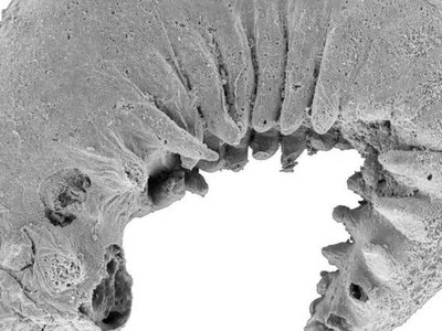 Article featured image