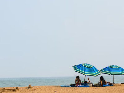 Article featured image