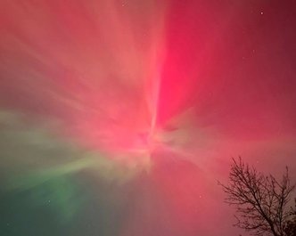 Article featured image