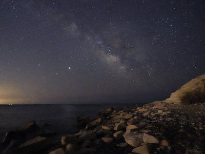 Article featured image