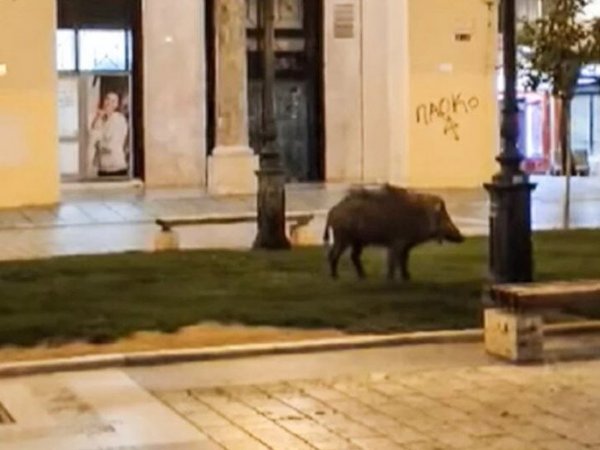 Article featured image