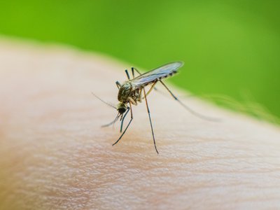 Article featured image