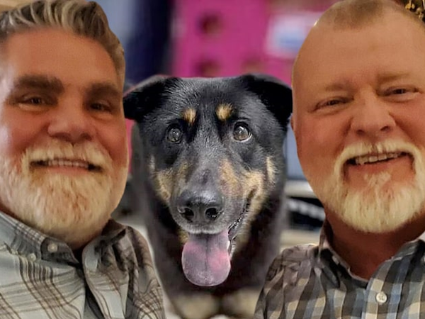 Article featured image