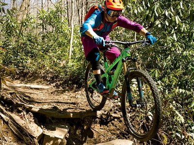 Article featured image