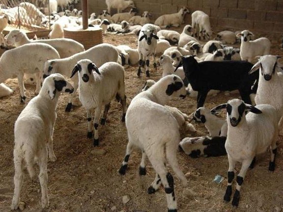 Article featured image