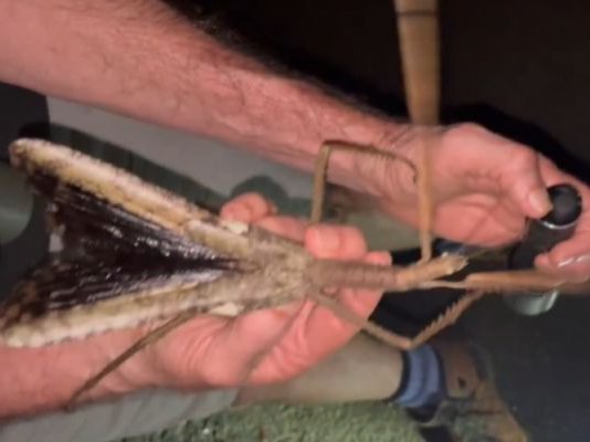 Article featured image