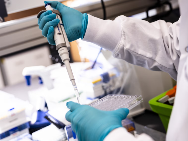 Article featured image