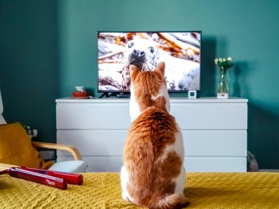 Article featured image