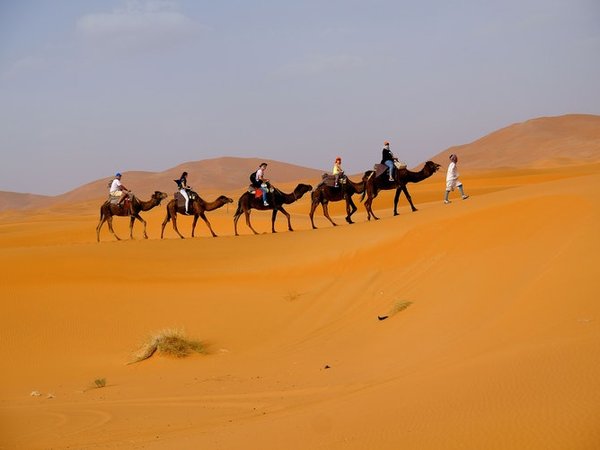 Article featured image