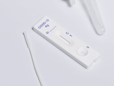 Article featured image