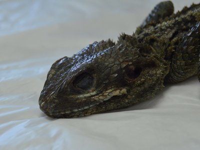 Article featured image