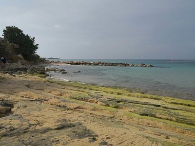 Article featured image